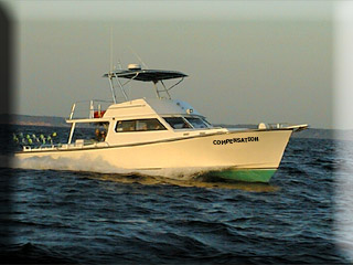 Chesapeake Bay Sport Fishing aboard the Compensation
