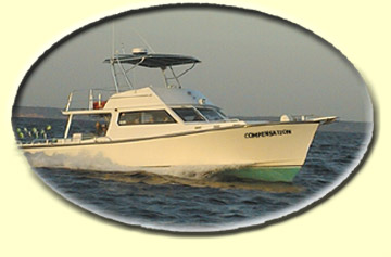 Chesapeake Bay Charter Fishing aboard the Compensation with Captain Mike Harris